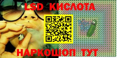 гашик Будённовск