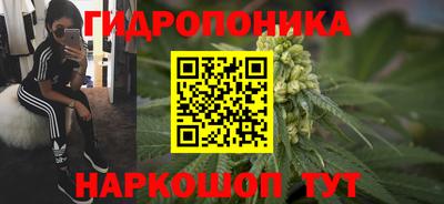 гашик Будённовск