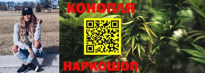 гашик Будённовск
