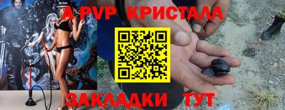 гашик Будённовск