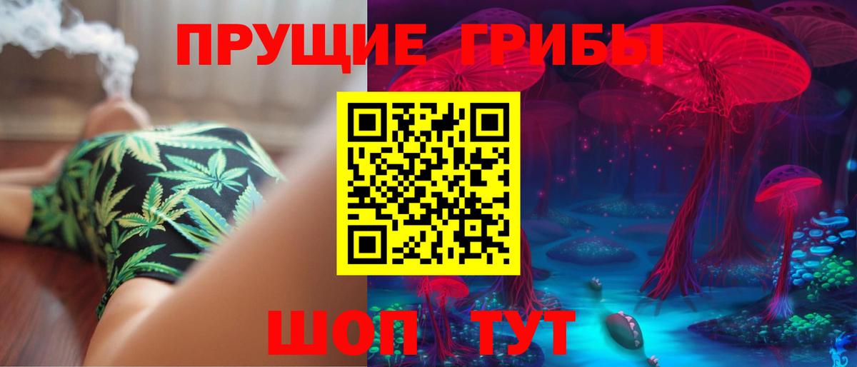 Псилоцибиновые грибы мицелий  Вход с VPN  Холмск 